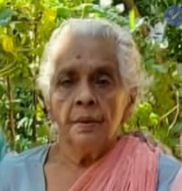 പാലക്കാട് മുണ്ടൂർ ബിനുസദനത്തിൽ ലില്ലികുട്ടി ഡേവിഡ് (81) നിര്യാതയായി