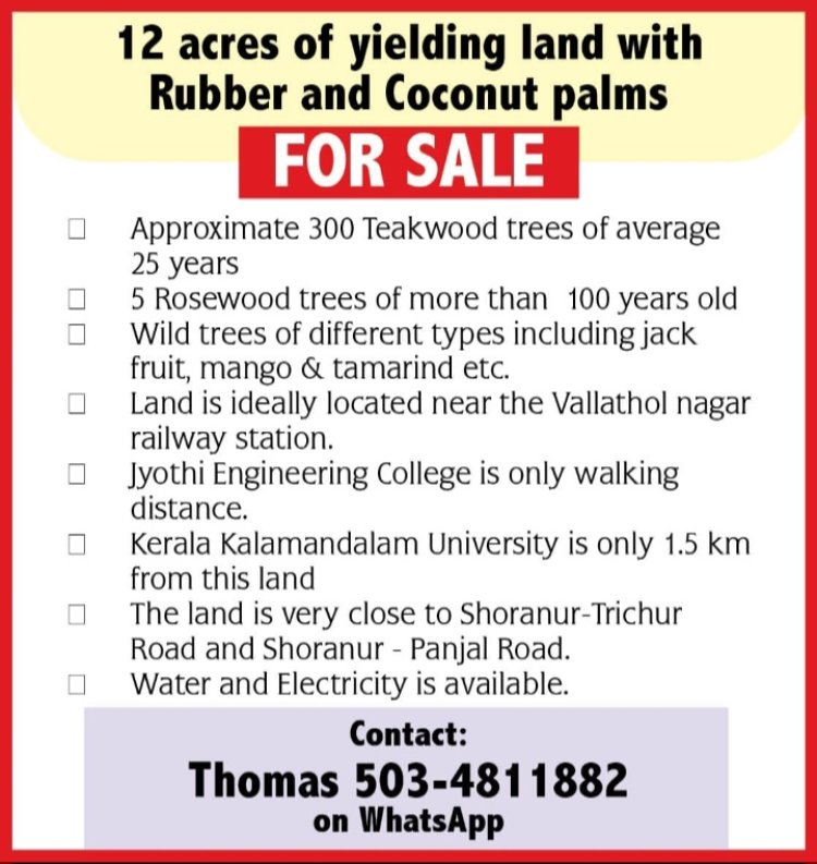 12 Acres of Yielding Land for Sale