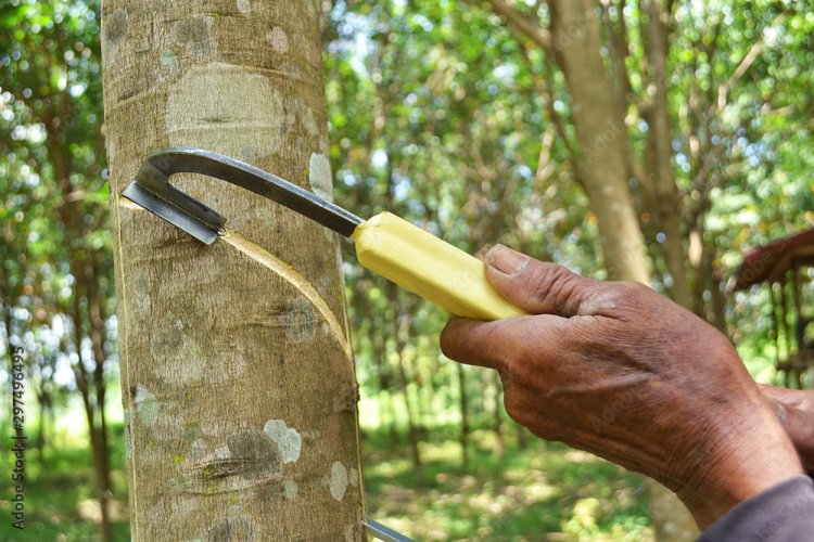 ആവശ്യമുണ്ട്