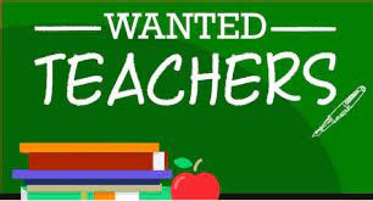 Wanted Teachers