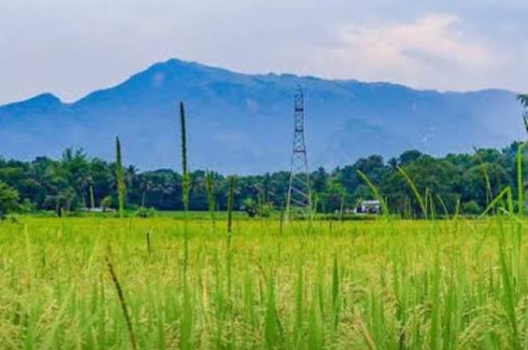 ഇന്ന് മലയാളിക്ക് പുതുവർഷാരംഭം