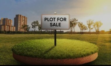 സൂപ്പർ വ്യൂ പ്ലോട്ട്; വയനാട്ടിൽ ഒരേക്കർ കരഭൂമി വില്പനയ്ക്ക്