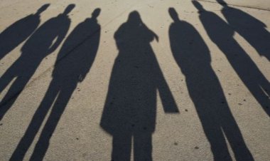 നിഴലുകൾ കണ്ട് പേടിക്കണ്ട 