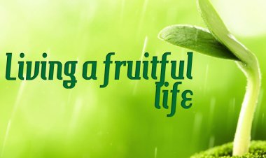 എന്തിനായി വിളിക്കപ്പെട്ടിരിക്കുന്നു ?