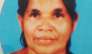 പാമ്പാടി പങ്ങട വരിക്കപ്ലാക്കൽ സാറാമ്മ ജോർജ്ജ് (ചിന്നമ്മ - 64)  നിര്യാതയായി