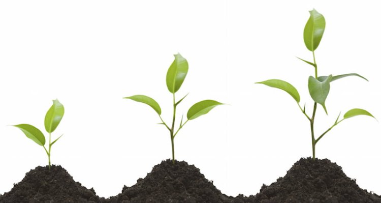 പ്രസ്ഥാനത്തിന്റെ വളർച്ച; എന്റെയും വളർച്ച