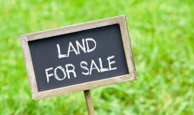 അങ്കമാലിയിലും കുളനടയിലും സ്ഥലം വിൽപ്പനയ്ക്ക്