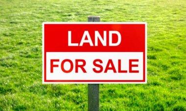 നെടുമ്പാശ്ശേരിയിൽ സ്ഥലം വില്പനയ്ക്ക്