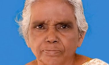 കോത്തല പുതുവയലിൽ മേരി പീറ്റർ (88) നിര്യാതയായി