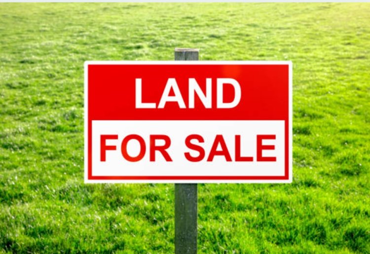 നെടുമ്പാശ്ശേരിയിൽ സ്ഥലം വില്പനയ്ക്ക്