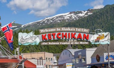 പാടുന്ന പക്ഷികളും ഇലകള്‍ കൊഴിയാത്ത മരങ്ങളും