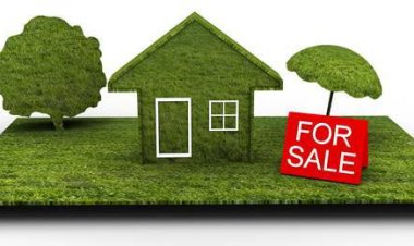 കുമരകത്ത് വീടും സ്ഥലവും വില്പനയ്ക്ക്