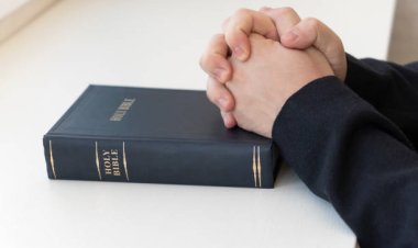 ചാപ്ലയിനെ ആവശ്യമുണ്ട്