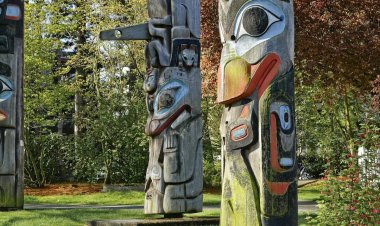 ഏറ്റവും പ്രായം കൂടിയ മുത്തശ്ശി മരവും ലോകത്തിലെ ഏറ്റവും വലിയ വൃക്ഷവും