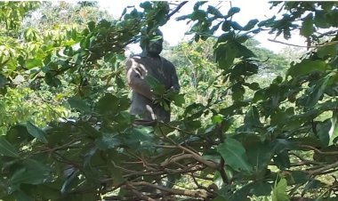 ഈ മനുഷ്യൻ ഇവിടെയാണോ നിൽക്കേണ്ടത്?