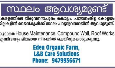 സ്ഥലം ആവശ്യമുണ്ട്; House Maintenance മിതമായ നിരക്കിൽ