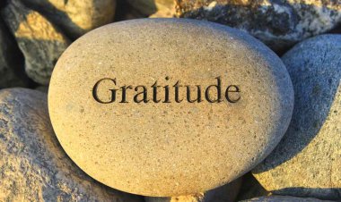 Gratitude