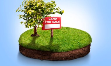 21 സെൻ്റ് സ്ഥലം വിൽപ്പനക്ക്