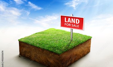 സ്ഥലം വിൽപ്പനയ്ക്ക് @ കുമ്പനാട്