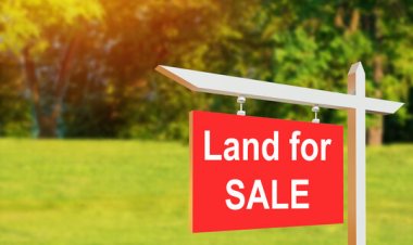 കോട്ടയം മാങ്ങാനത്ത് സ്ഥലം വില്പനയ്ക്ക്