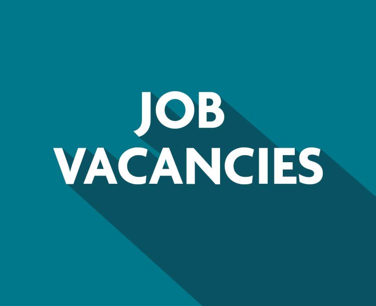VACANCIES; JR ACCOUNTANT/ACCOUNTANT  JR ASSISTANT/ASSISTANT   SITE ENGINEERS