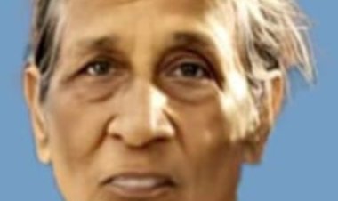 പോർക്കുളം വെളളറ വീട്ടിൽ ലൂസി (70) നിര്യാതയായി
