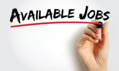 Vacancies Available; Carmel Community Church, New Delhi