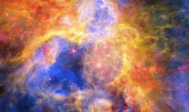 Colorful Collage of Tarantula Nebula