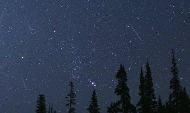Perseids Meteor Shower