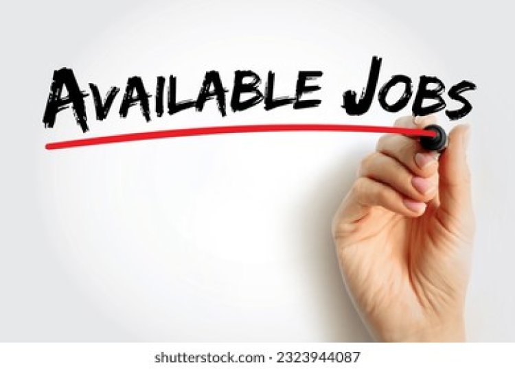 Vacancies Available; Carmel Community Church, New Delhi